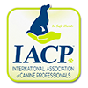 IACP